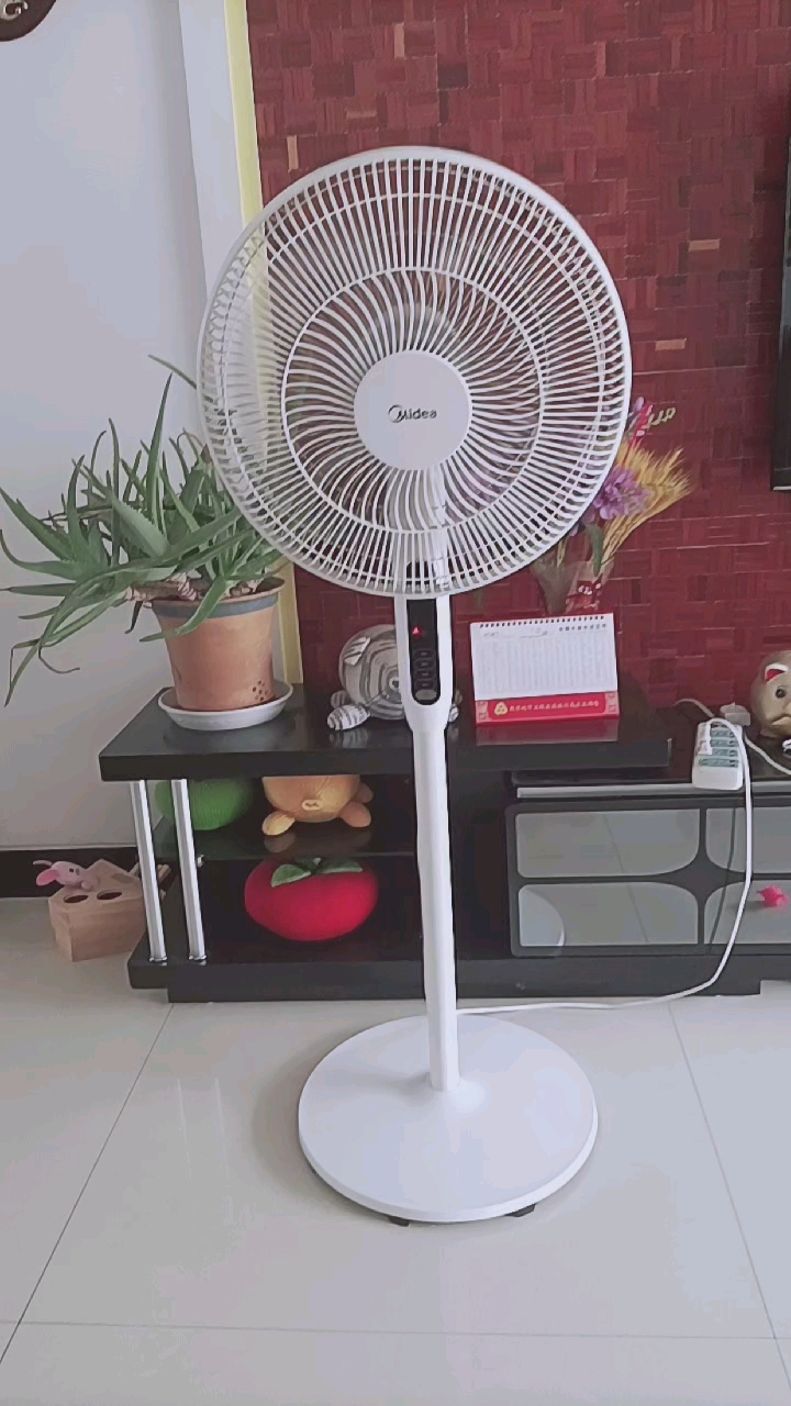 人人都夸景色美#夏日风扇转不停凉风习习