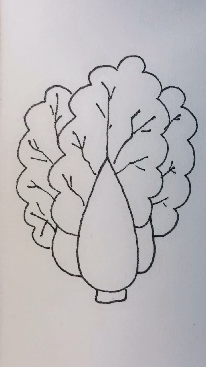 画画原来如此简单#学画大白菜简笔画