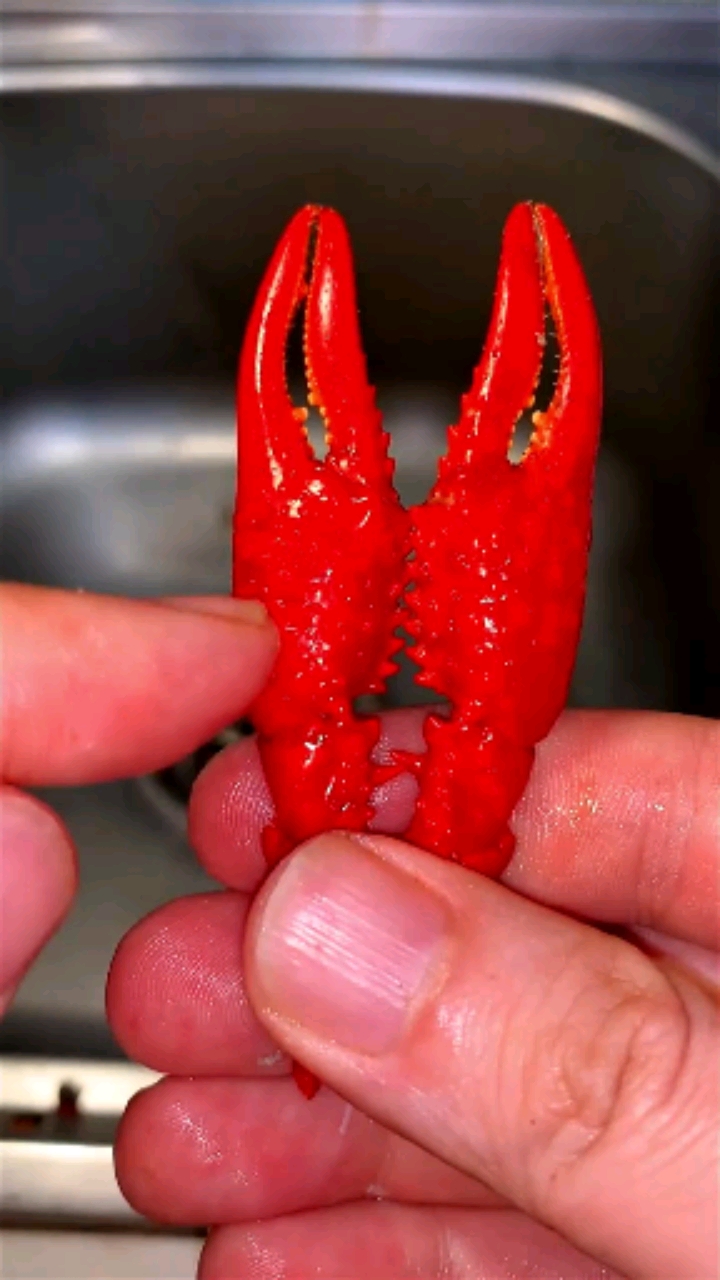 小龙虾#小龙虾虾钳最正确的吃法应该是这样的