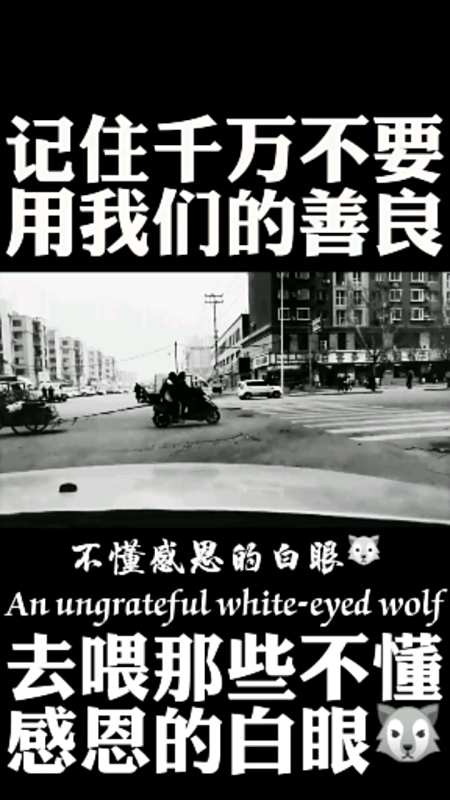 千万不要用我们的善良,去喂养不熟的白眼狼