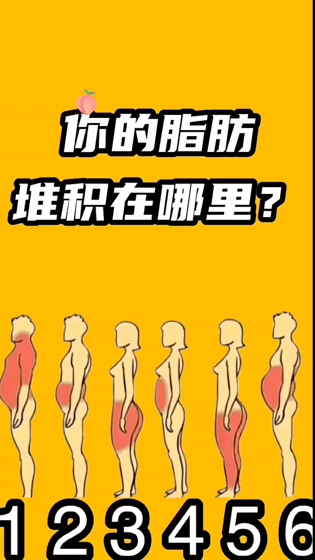 脂肪害怕的食物#你的脂肪堆积在哪里
