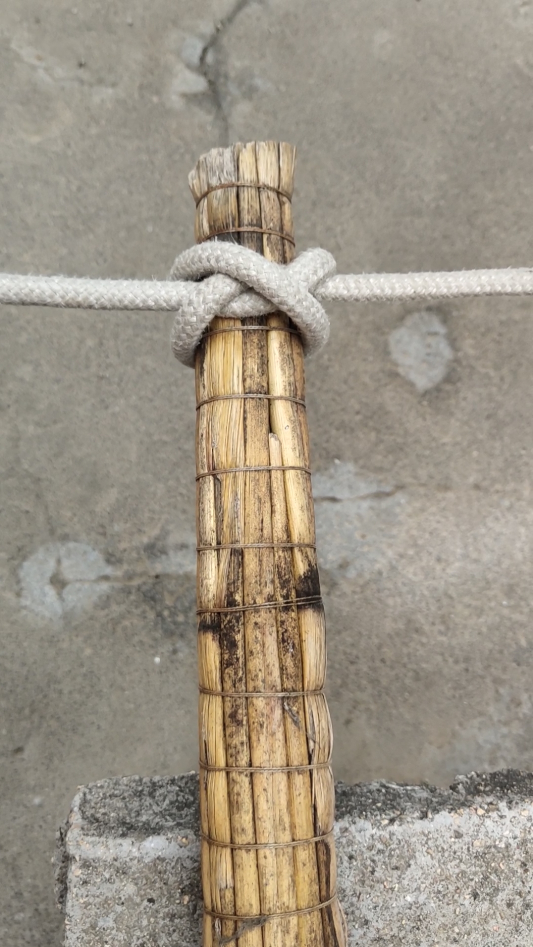 八字捆绑结,也叫猪蹄索紧扣