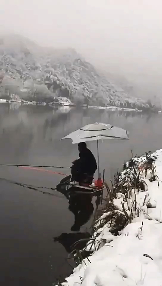 户外钓鱼#下雪了,冷啊冷,雪中作钓的大神,我是真的服你了!
