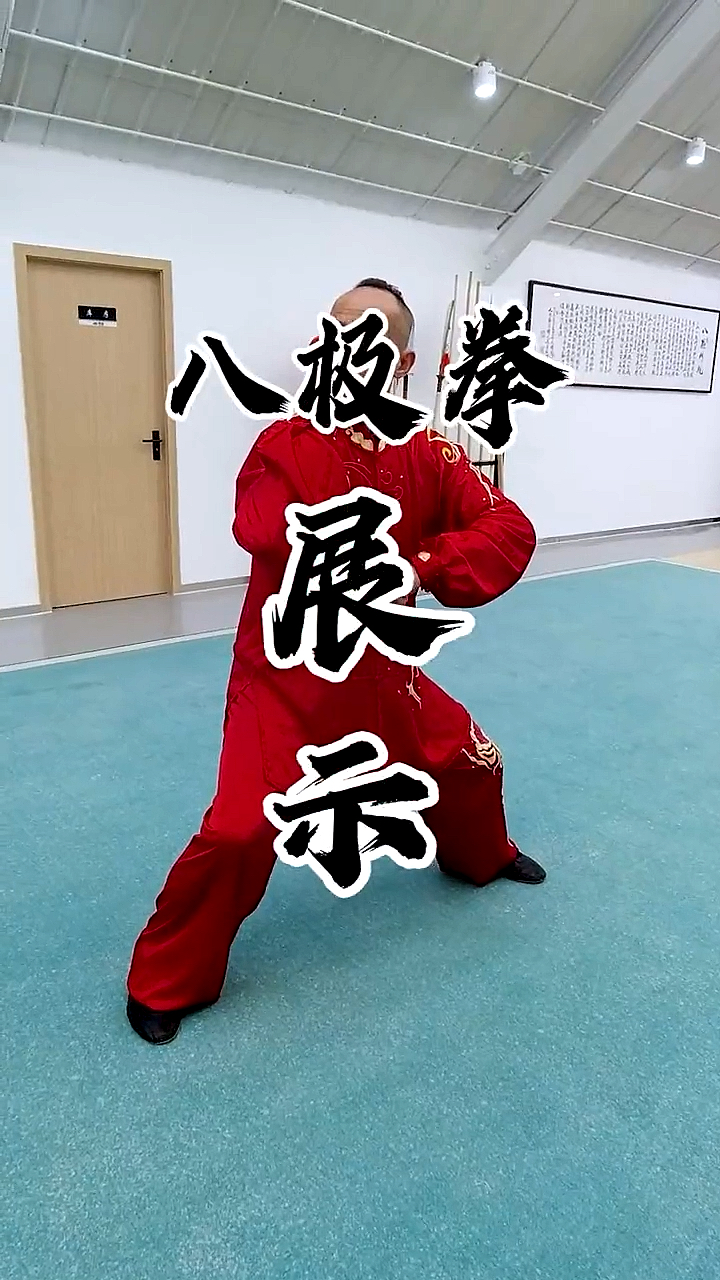 中华武术#八极拳套路展示