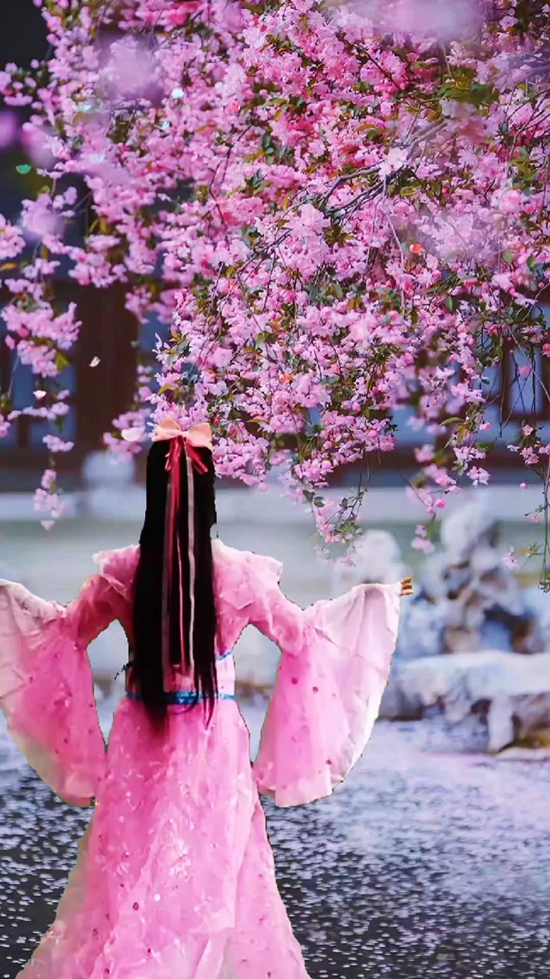 破壳计划#落花缤纷情人梦,伊人迤逦伴君尘.