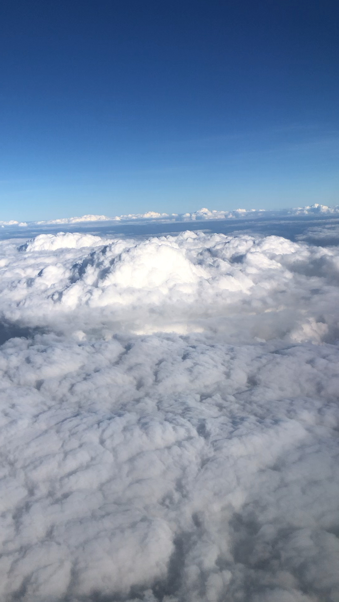 飞机上的蓝天白云图片图片