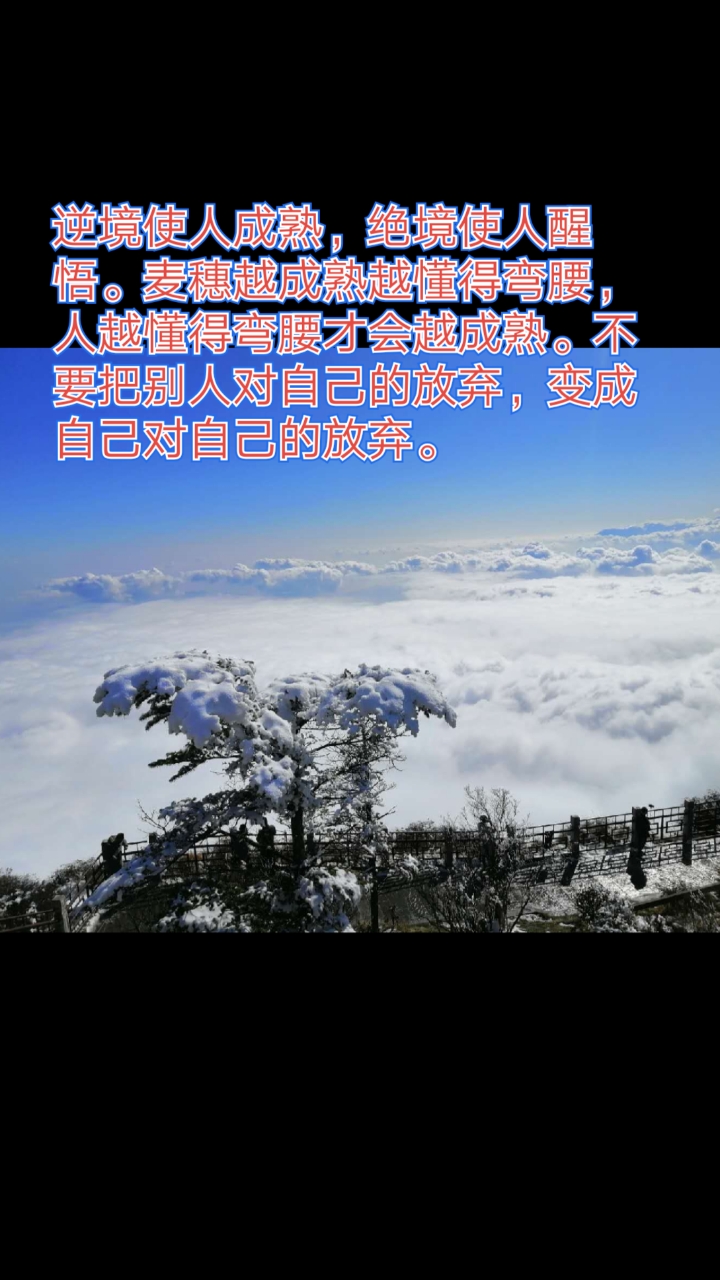 励志正能量#逆境使人成熟,绝境使人醒悟.