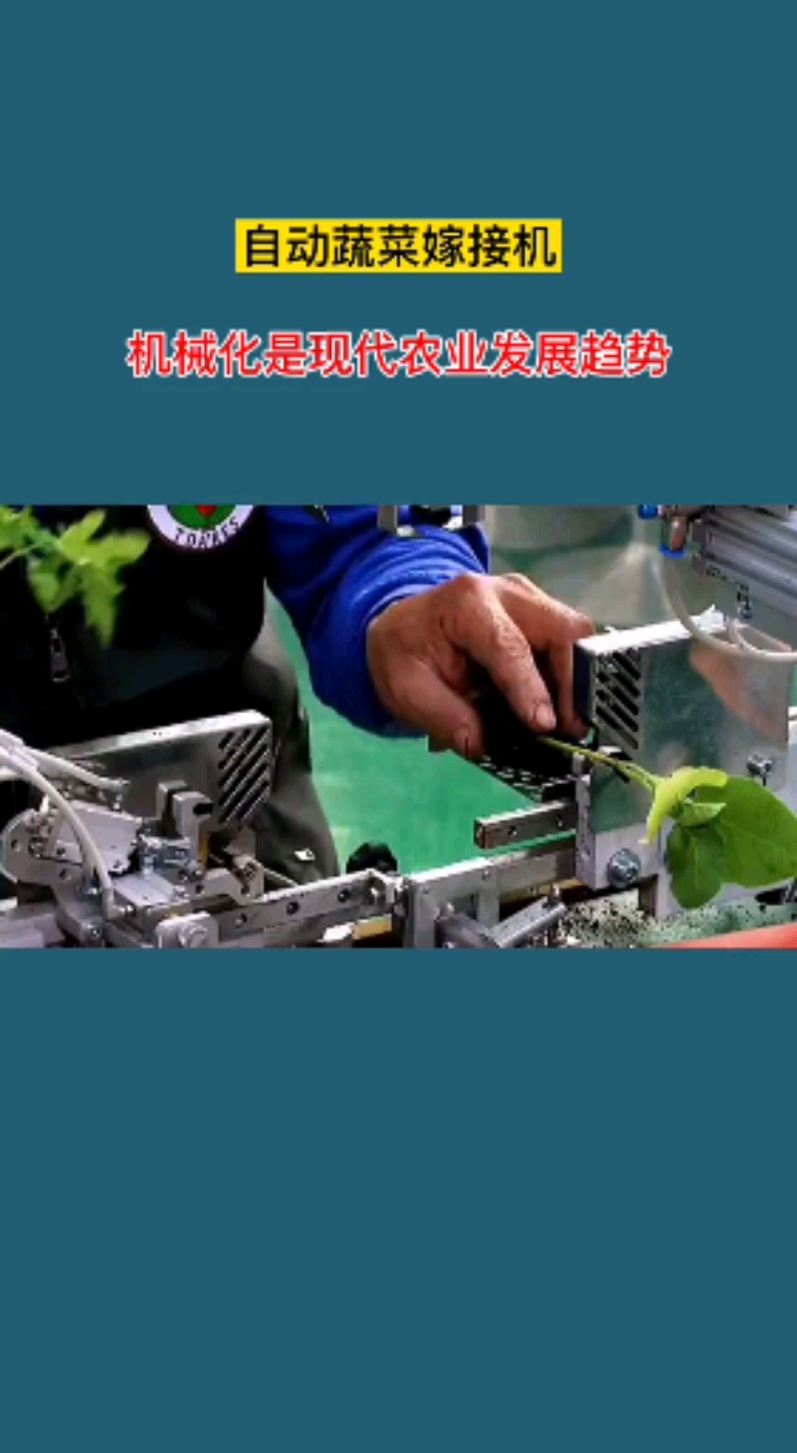 自动嫁接嫁接机,现代农业发展趋势!