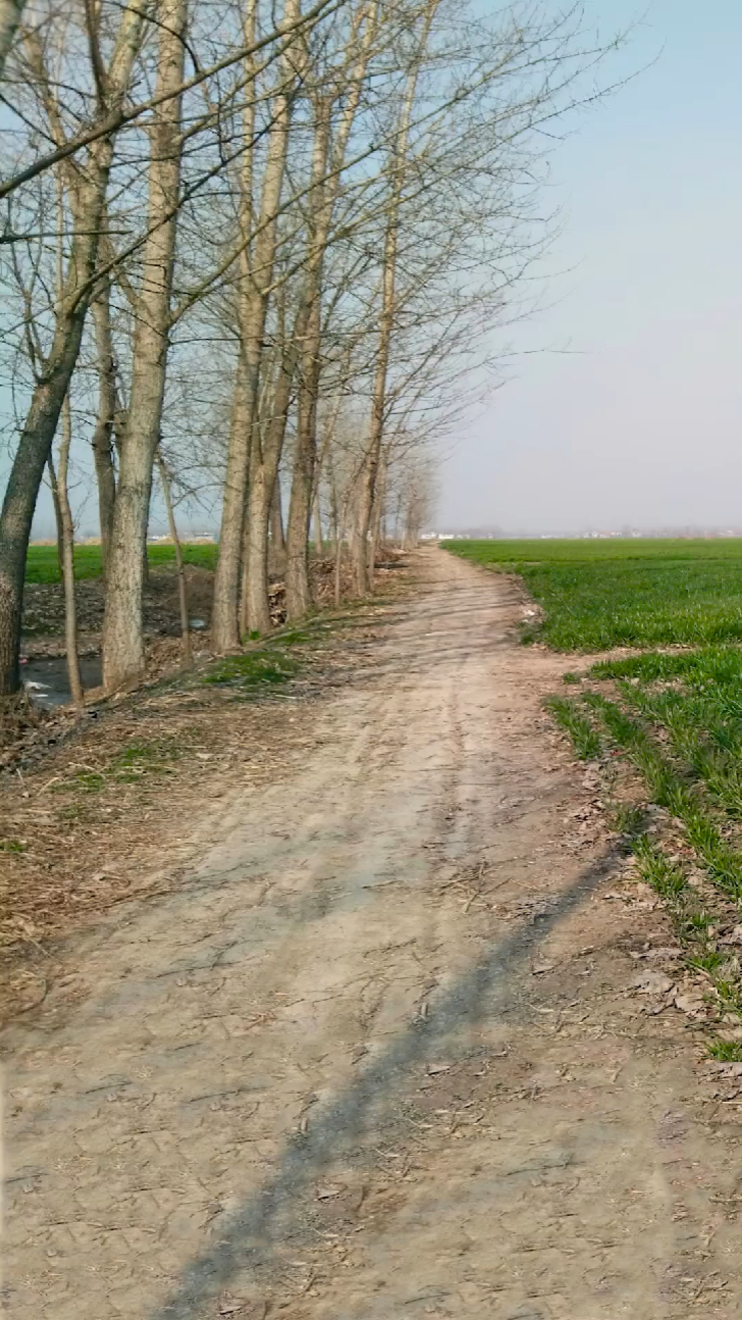 小的时候经常看到老人们坐在田间地头看着自己种的庄稼现在我理解了