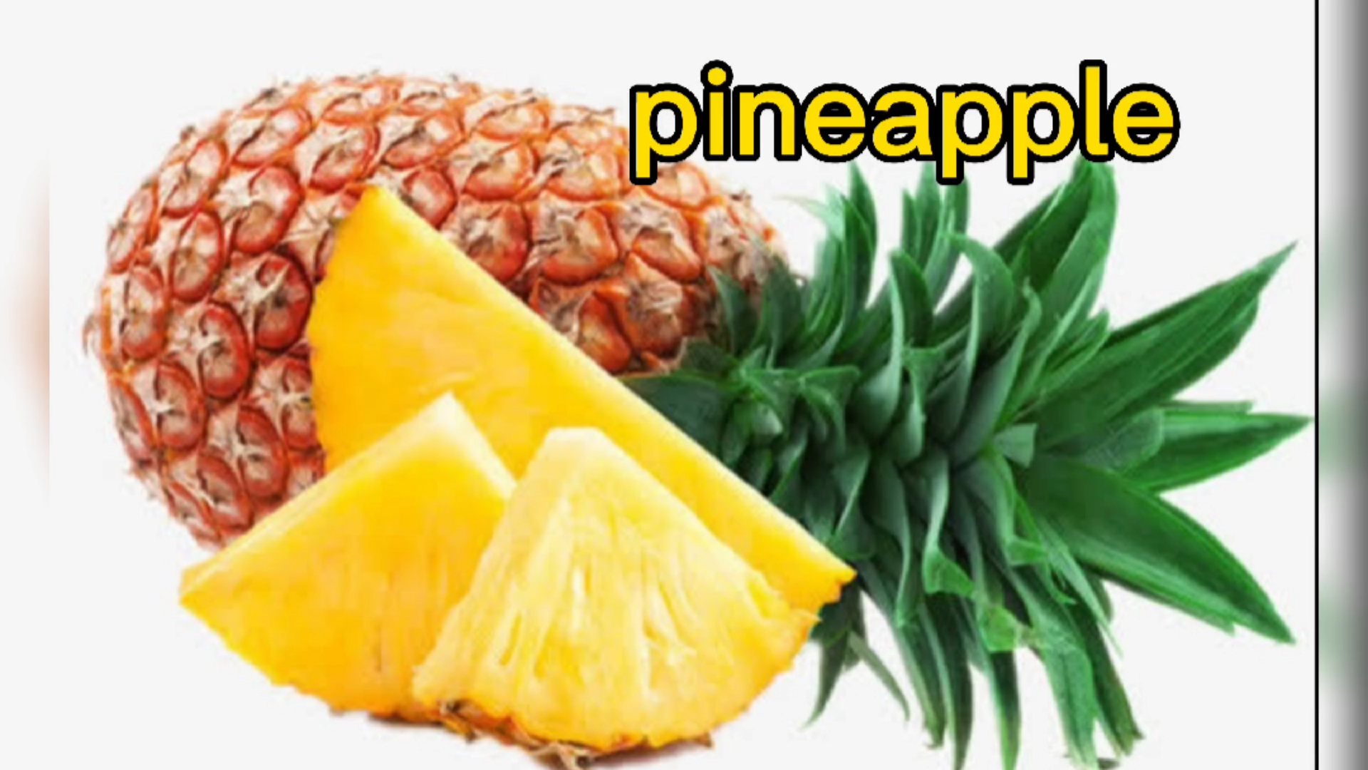 英语 pineapple