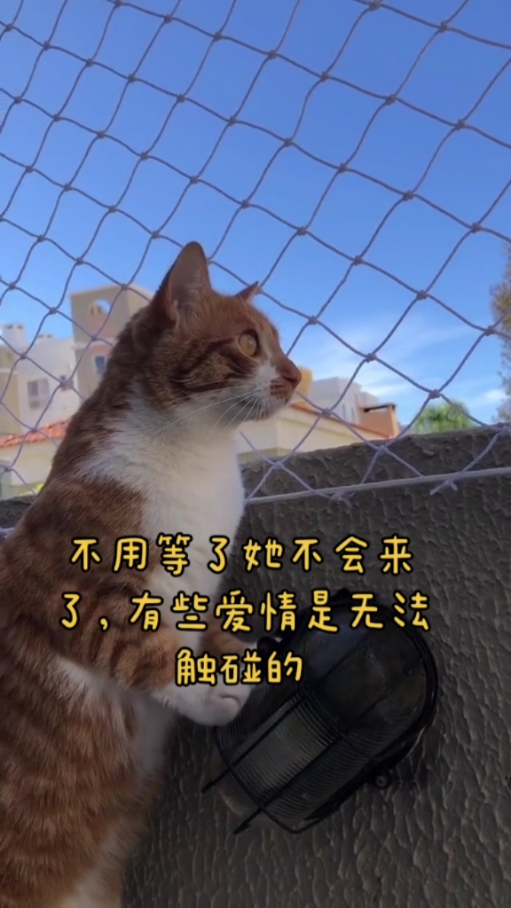 我要上热门#这家伙天天就这样站着往外面瞅