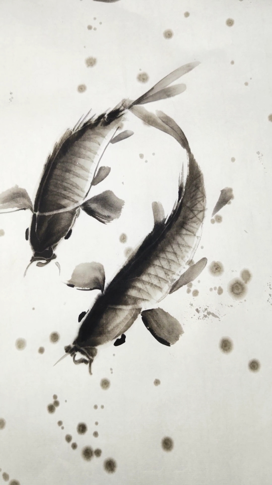 中国画#水墨鱼的画法,一起画画吧
