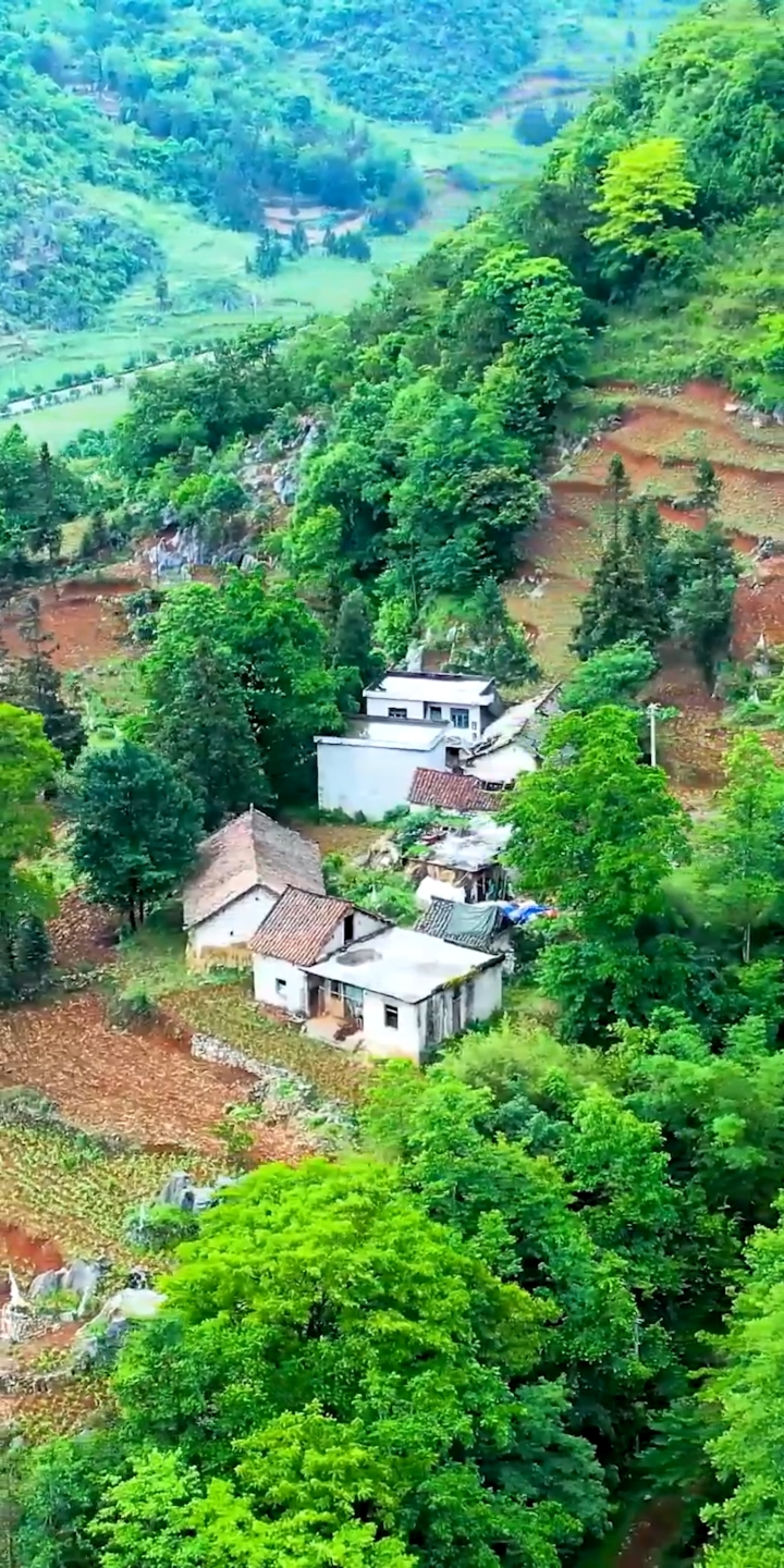 贵州大山上的无人村,这里发生了什么?