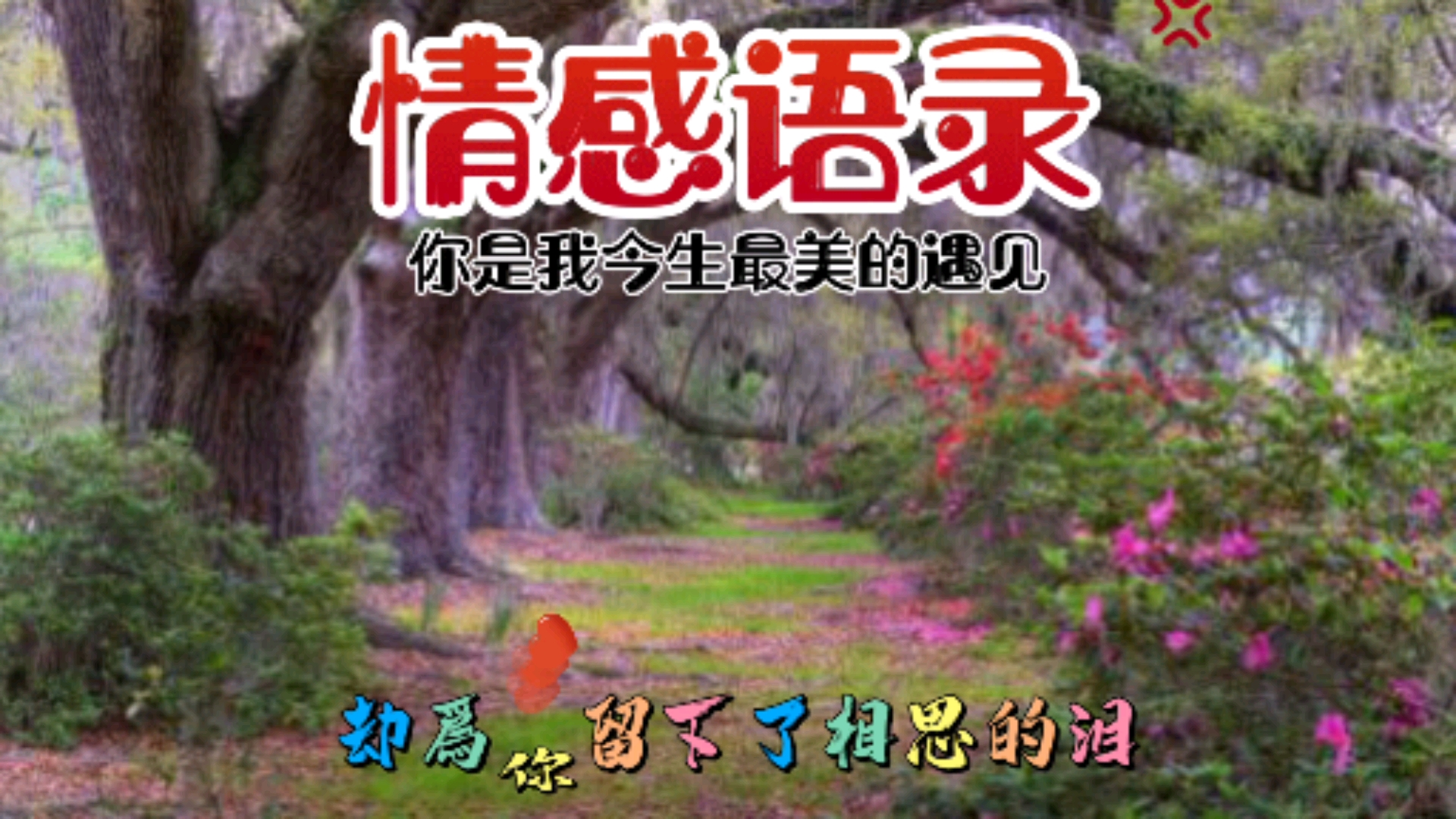 情感语录#你是我今生最美的的遇见