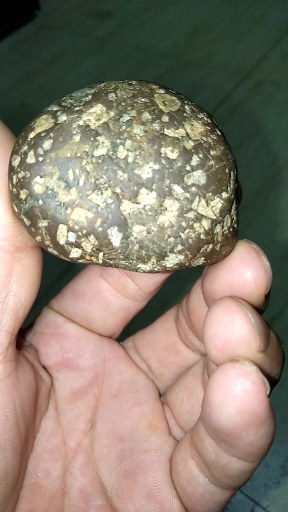 分享一颗无磁石陨石.