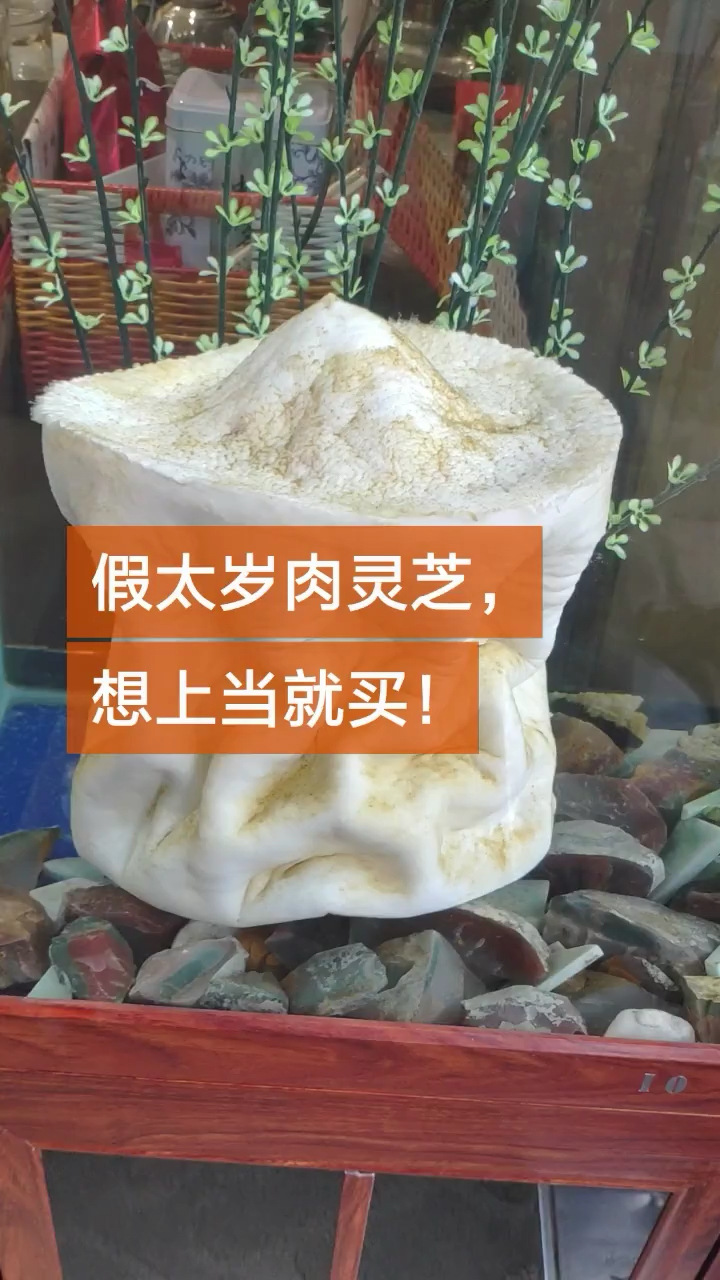 假太岁肉灵芝想上当就买
