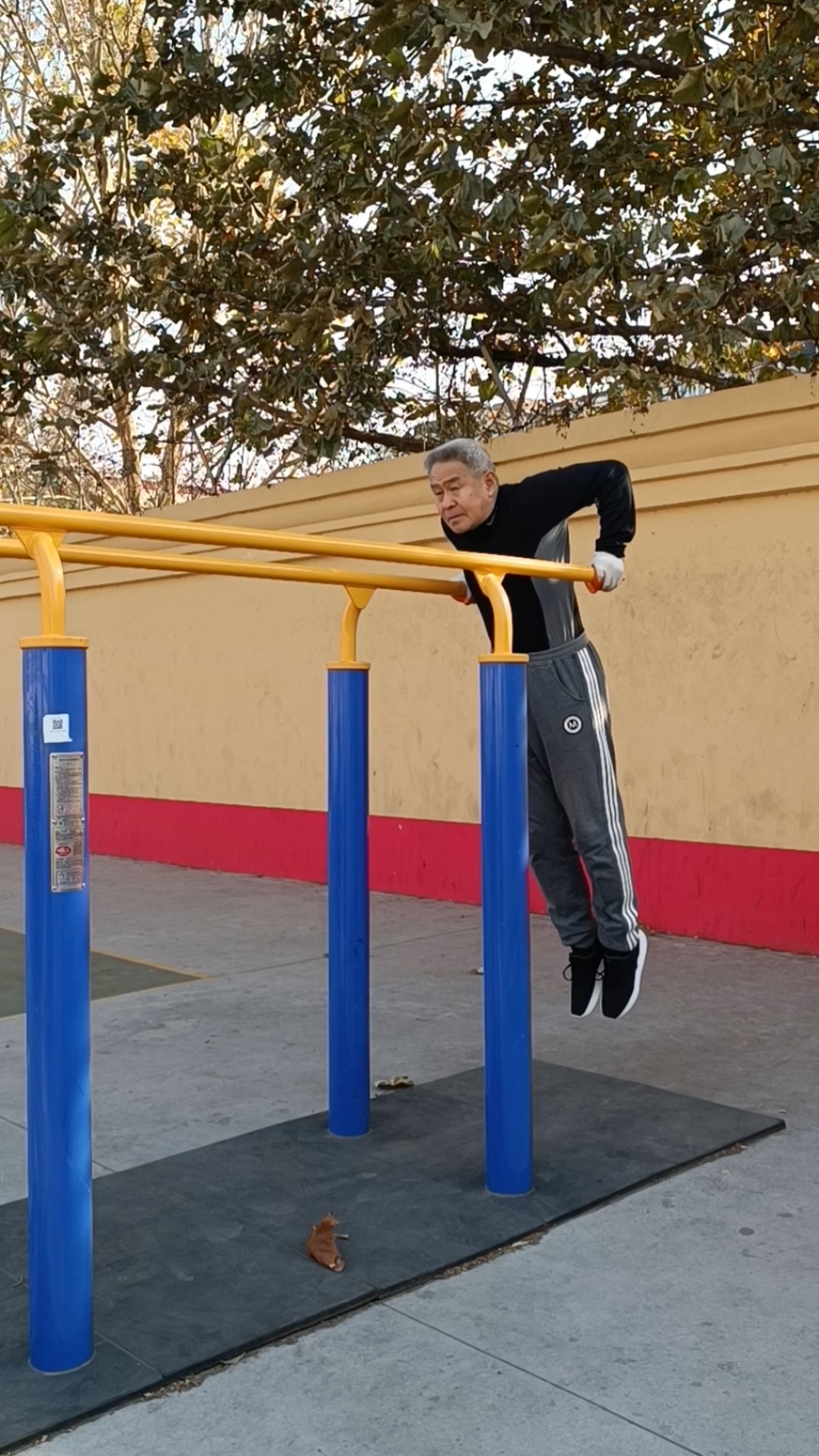 今日打卡双杠臂屈伸一组.