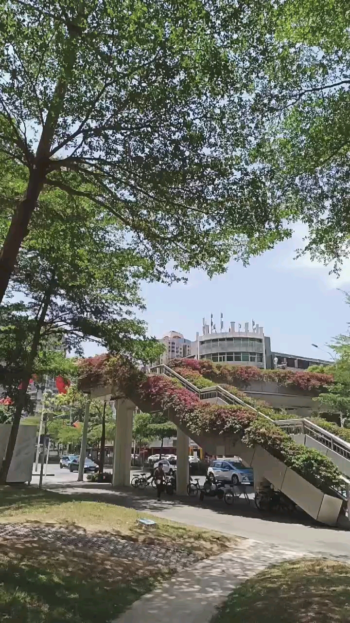 深圳都市风光#罗湖老城区田贝周边风光无限好