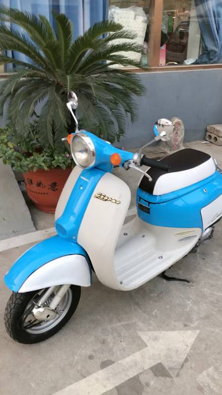 纯进口的本田龟!24期!两冲成!