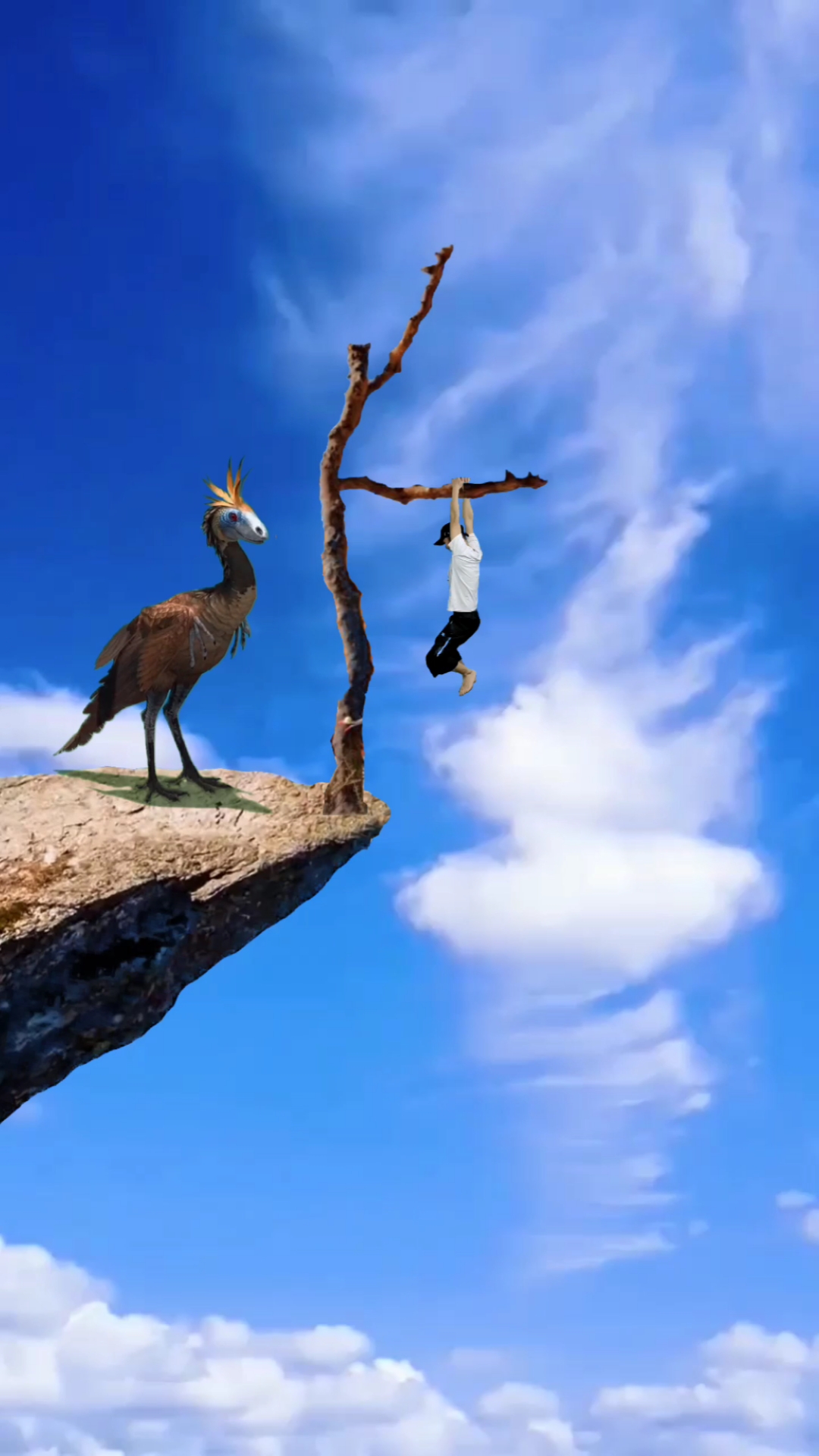 男子被怪鸟困在了悬崖