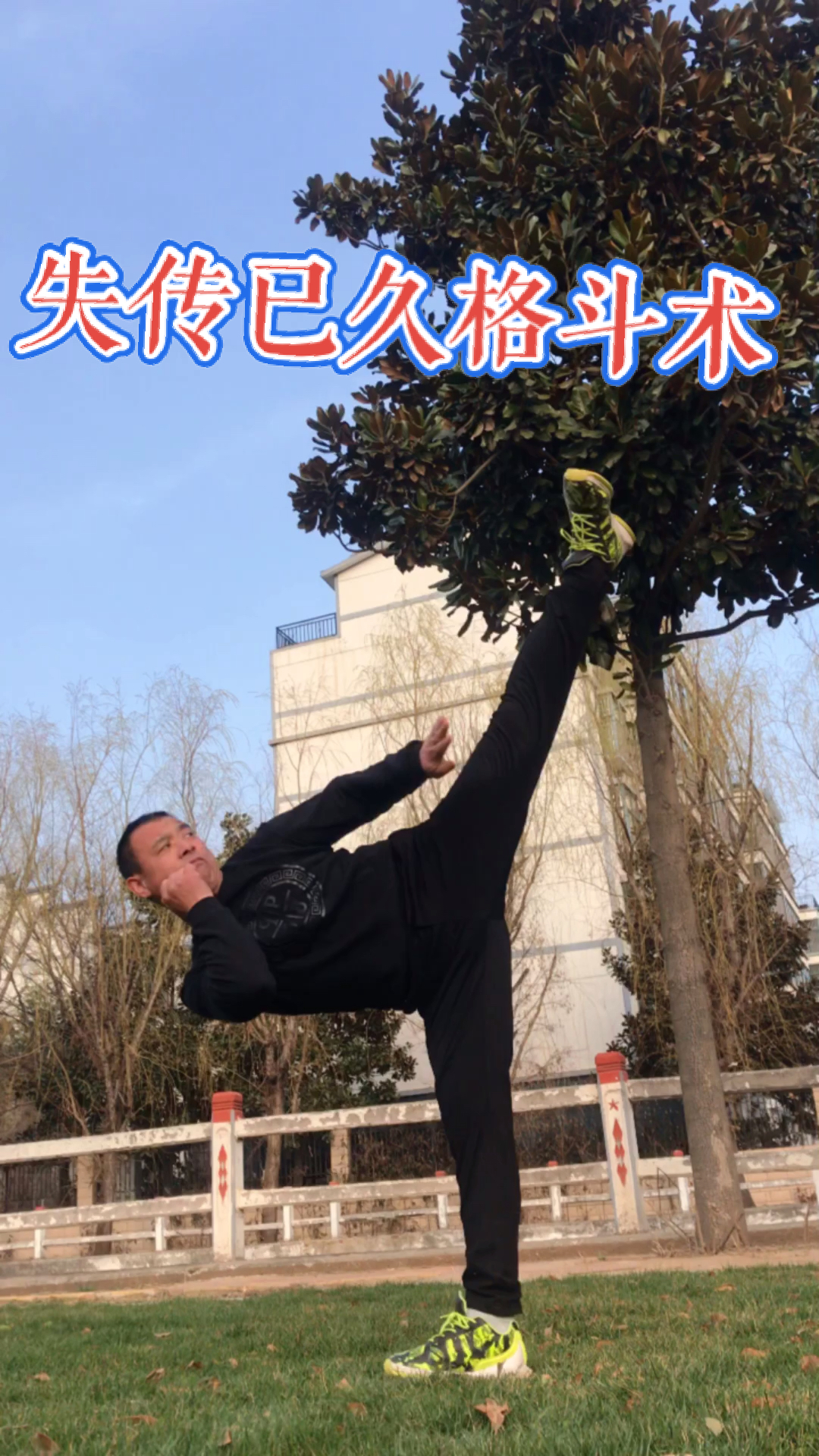 黑龙十八手套路演示分享给大家