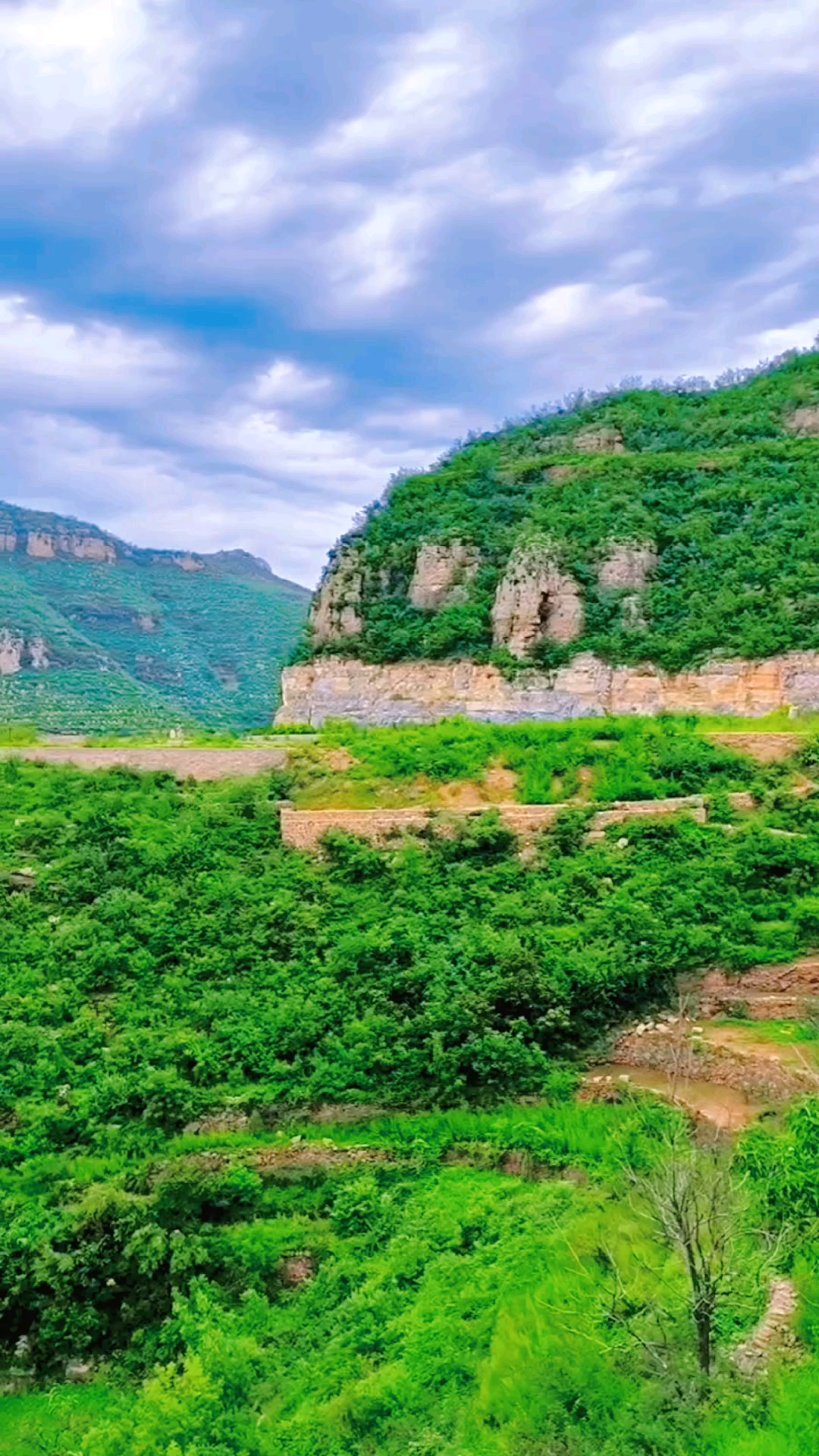 邯郸市陶泉乡图片