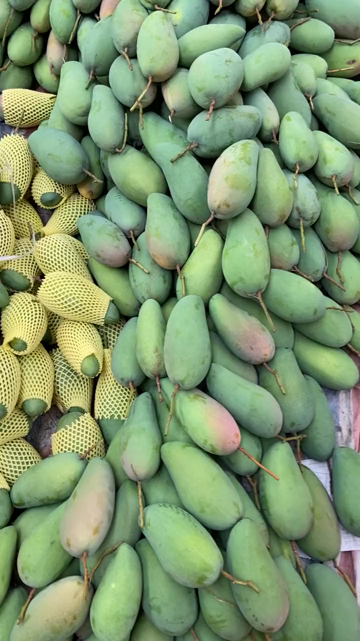 大青芒大量上市了#广西大青芒果