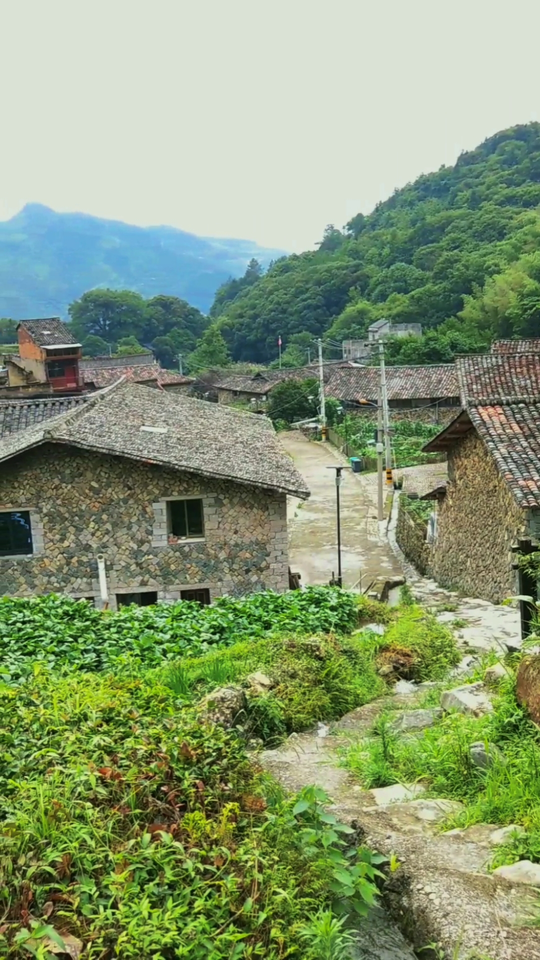 浙江大山脚下一村庄
