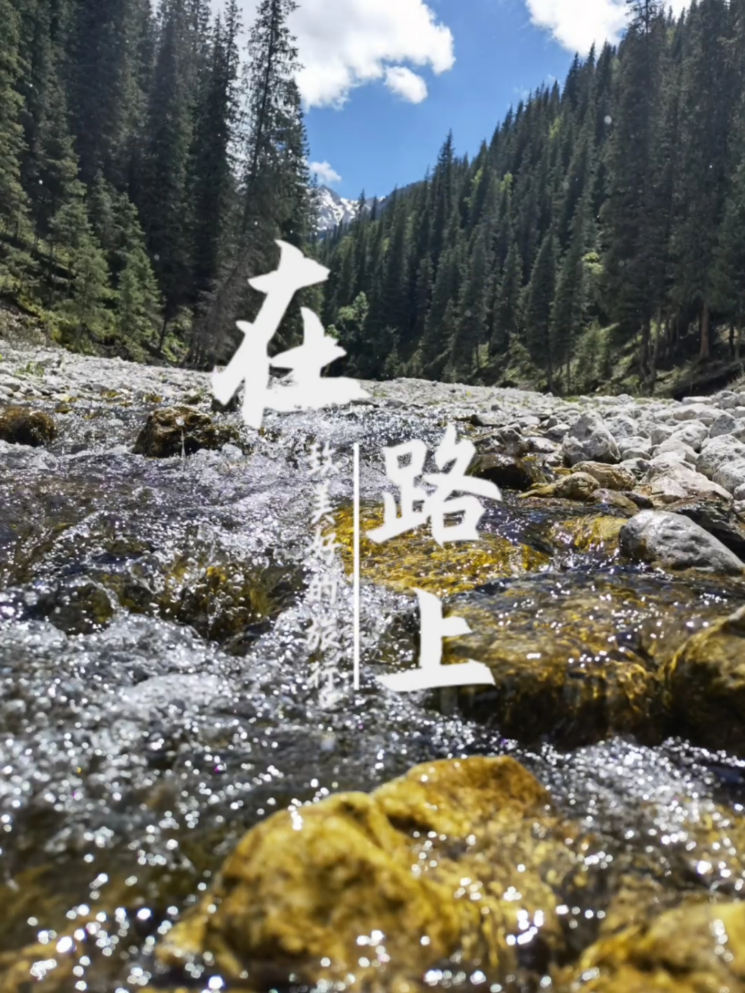 我的奋斗人生#奔波千里-只为明天