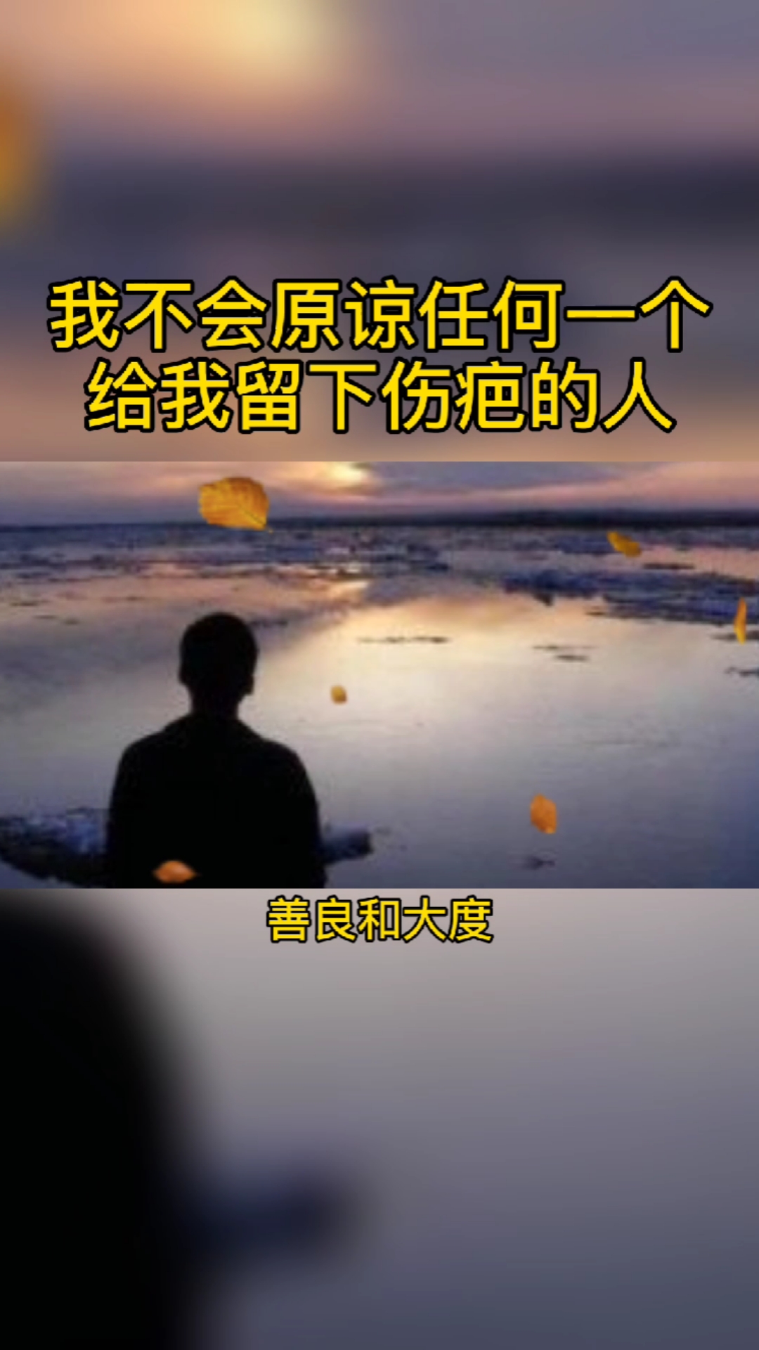 我不会原谅任何一个,在我心里留下伤疤的人,善良和大度是圣人做的事情