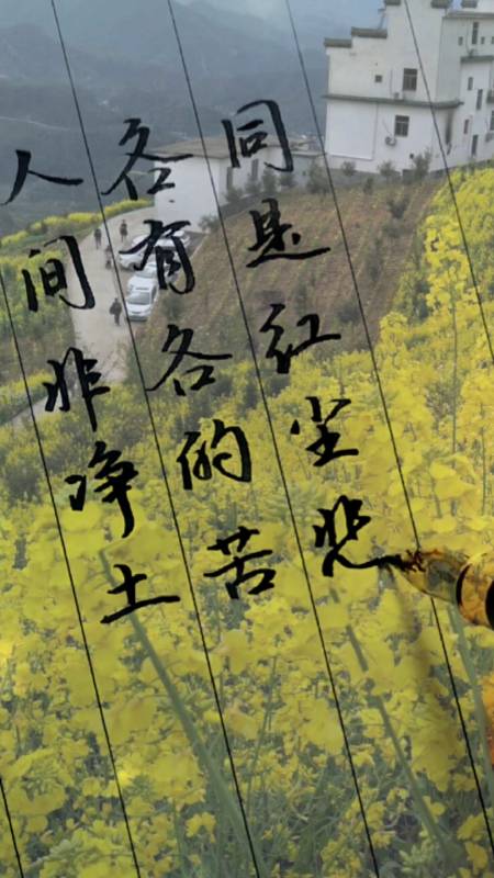 情感语录#人间非净土,各有各的苦