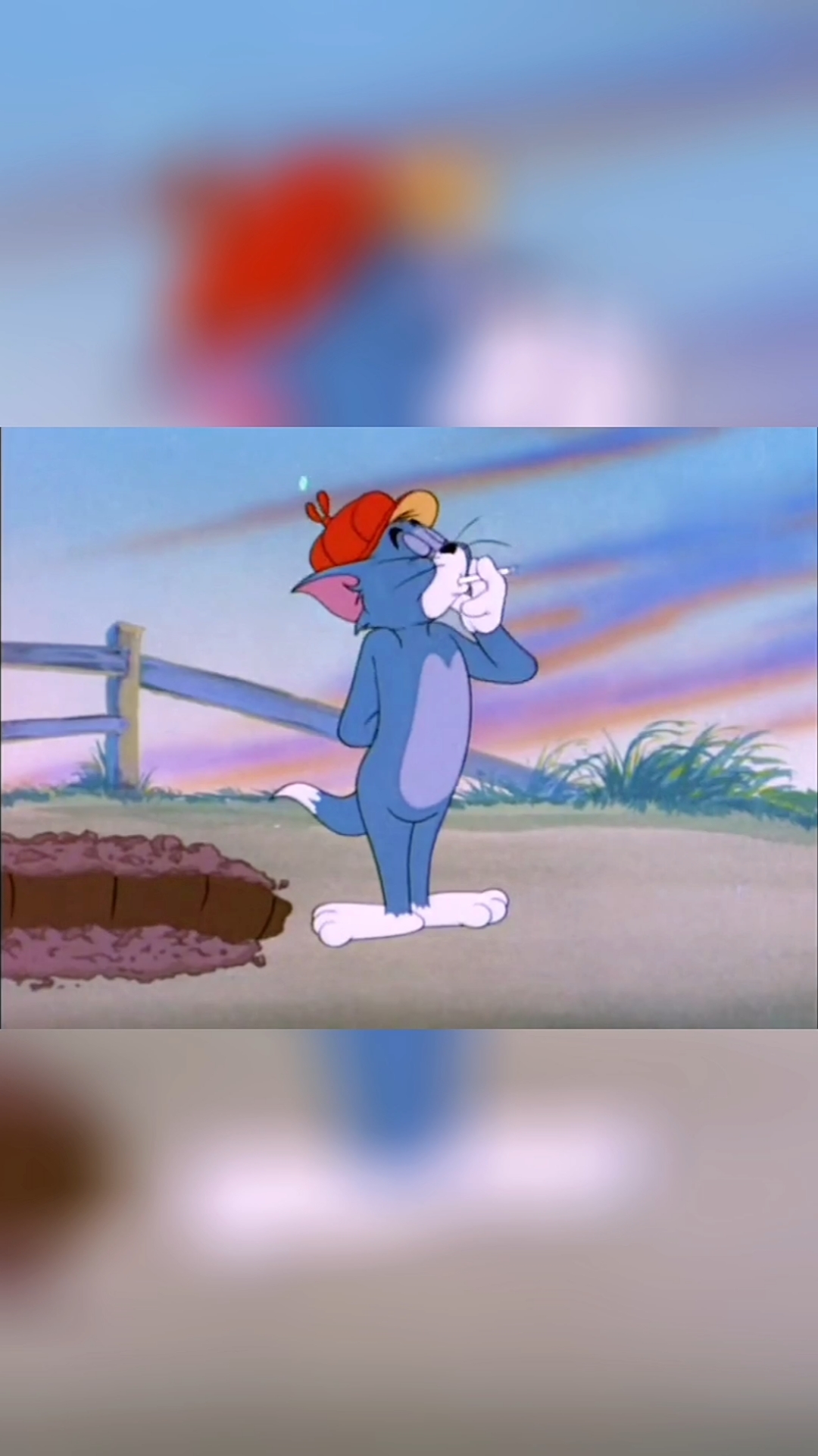 汤姆的自信巅峰.