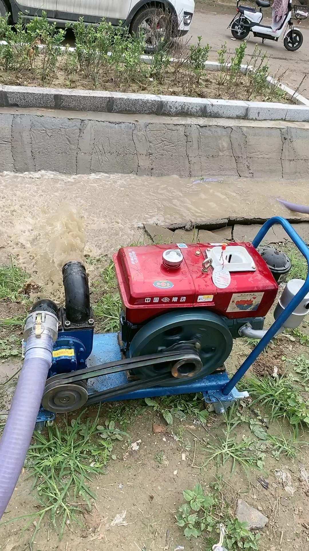 抽粪泵#直吸直排抽粪泵,柴油机带动效果