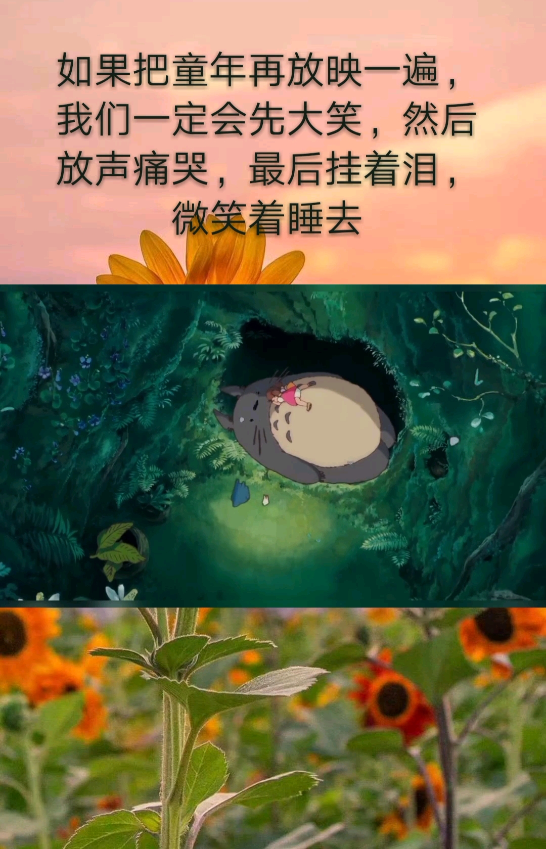 治愈系#生活坏到一定程度就会好起来,因为它无法更坏