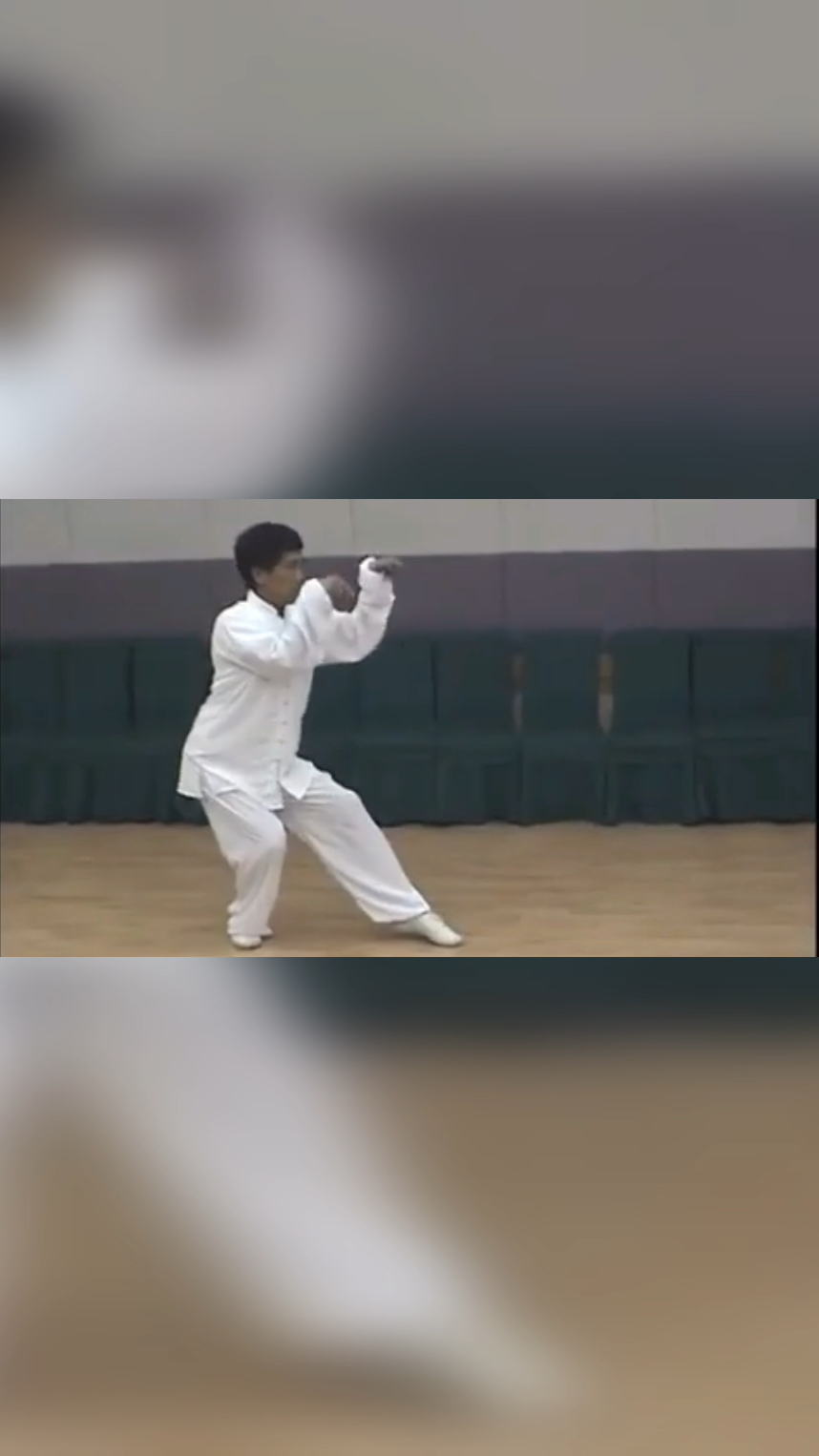 螳螂拳梅花螳螂拳名家张福洲先生演练的乱接