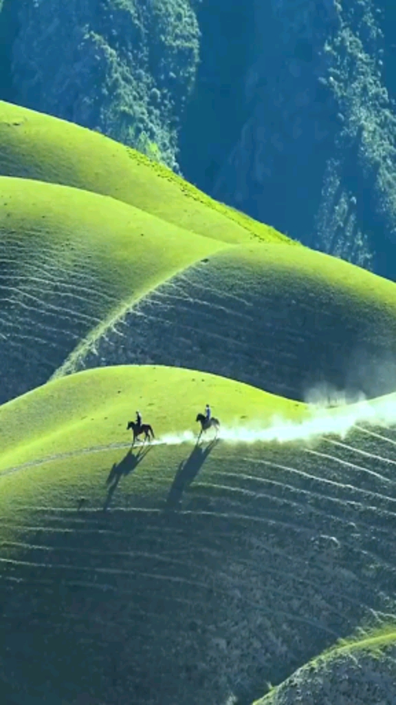 旅行策马扬鞭奔驰在草原上