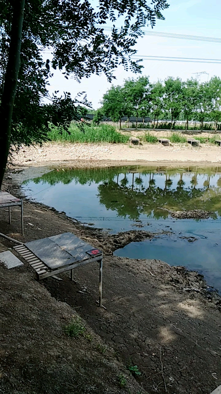 辛口镇第六埠村