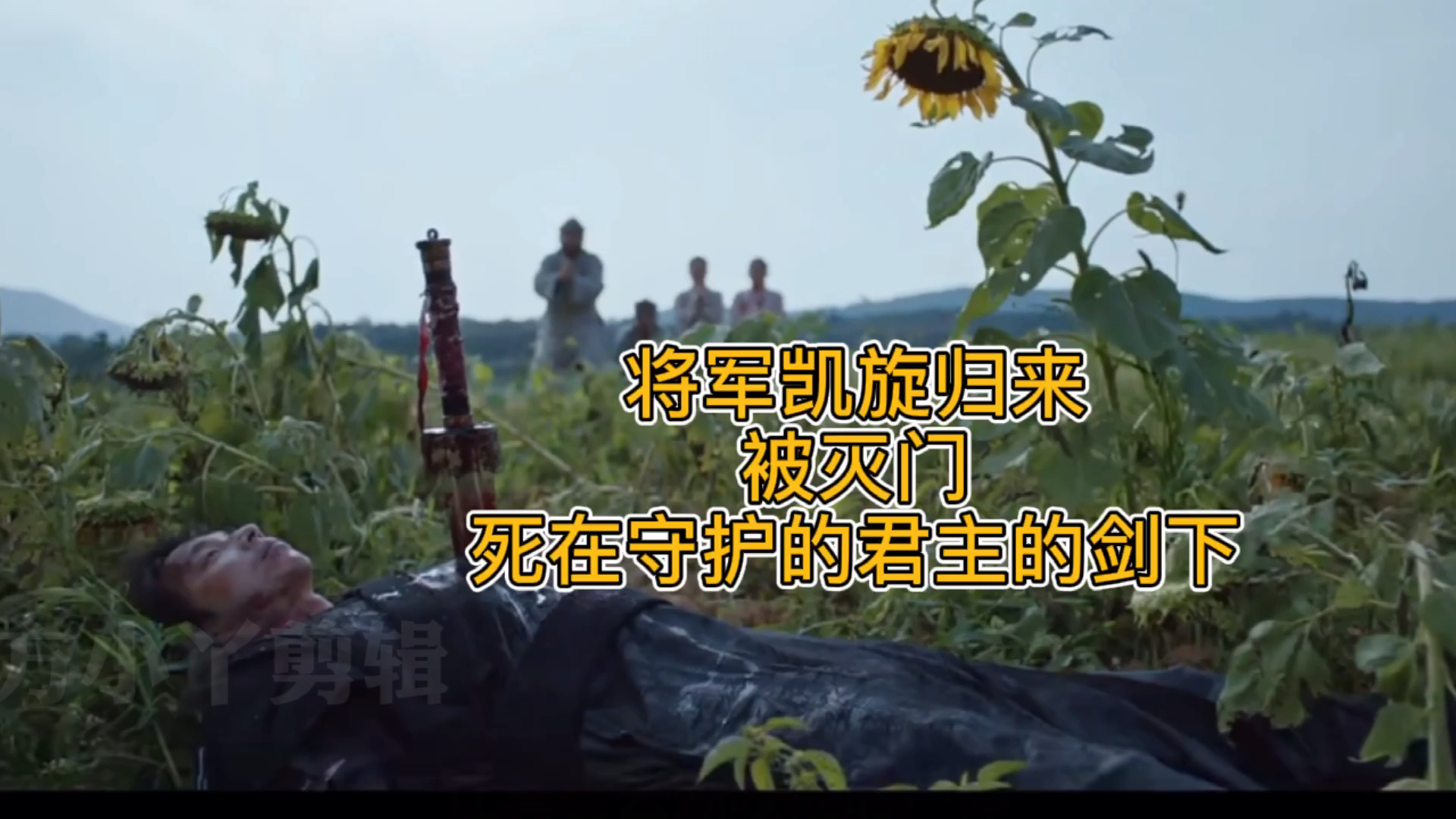 好剧推荐将军凯旋归来却被灭门自己死在守护的君主的剑下孤单又灿烂的