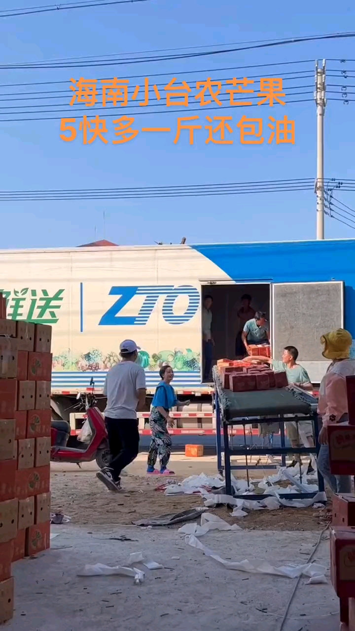 打包装车发货小台农贵妃芒果
