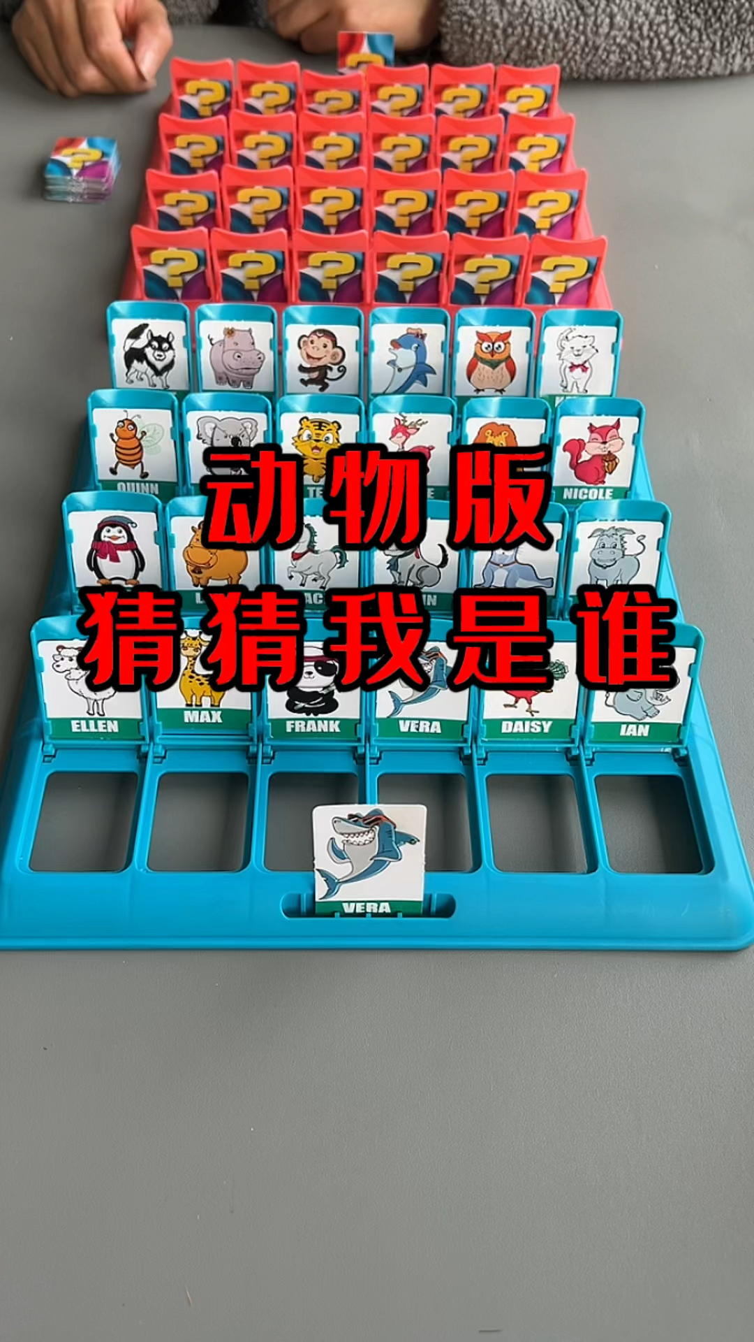 动物版猜猜我是谁,海豚是哺乳动物?