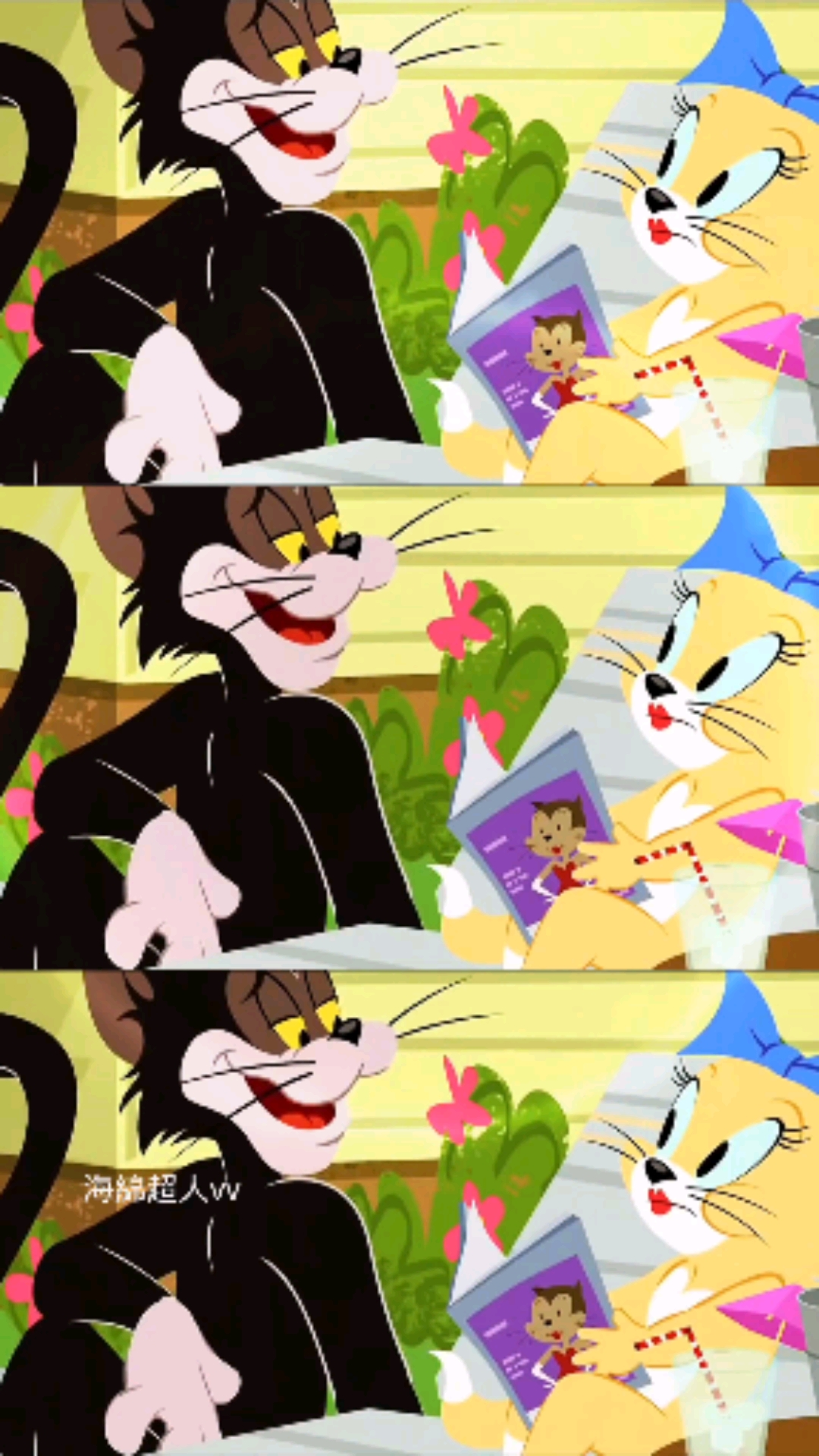 猫和老鼠#布奇真是汤姆一生最大的情敌啊