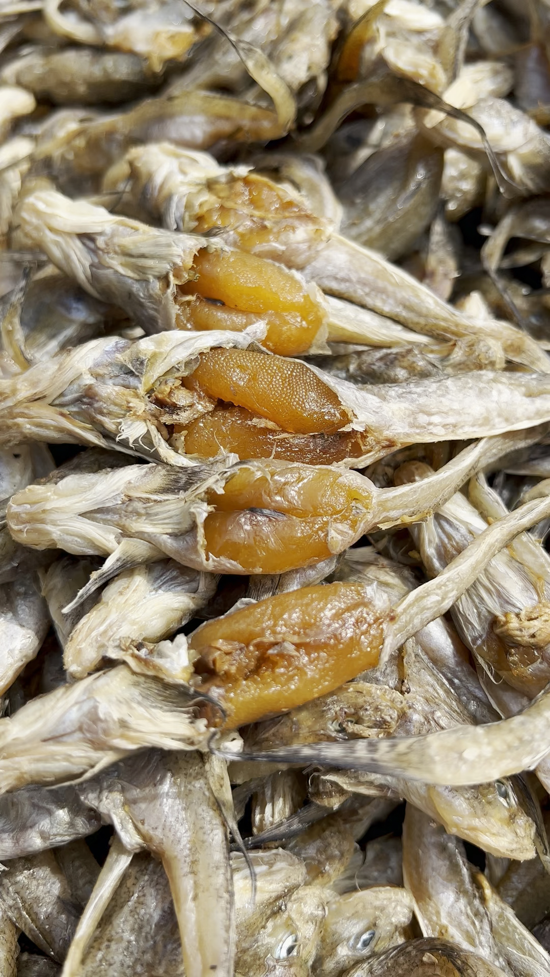 美食#个个满籽的籽鱼您吃过么?-度小视