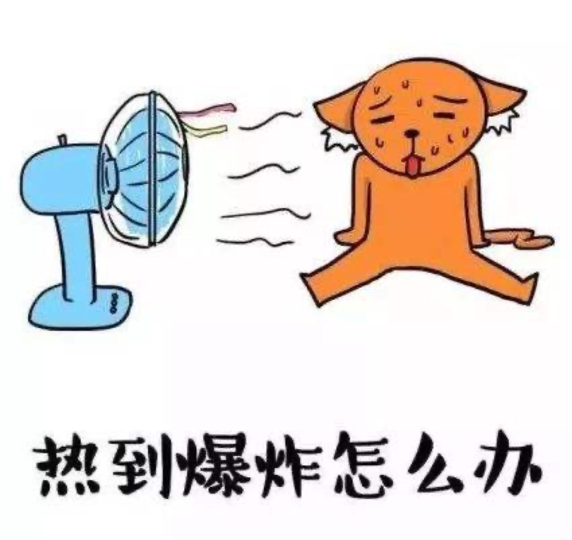 天气热的要爆炸了