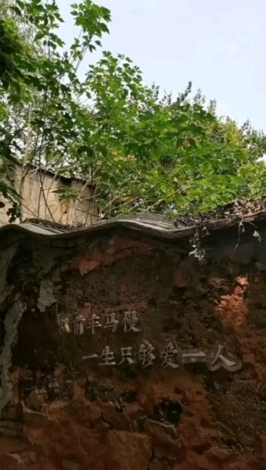 从前车马慢,一生只够爱一人