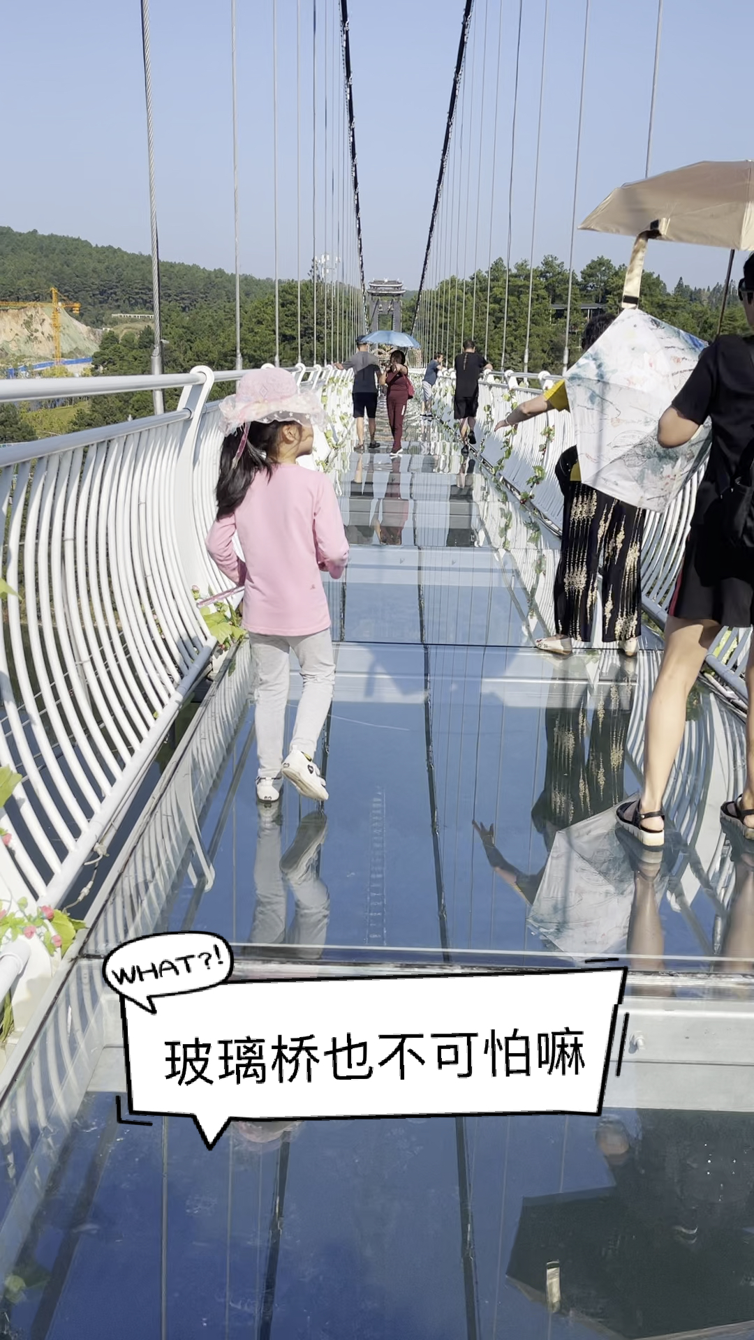 旅游进行时玻璃桥也不可怕嘛