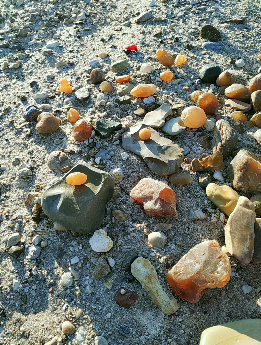 户外捡石头#野外捡石头玛瑙