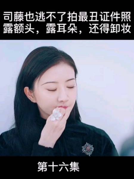 网剧司藤小姐表情包图片