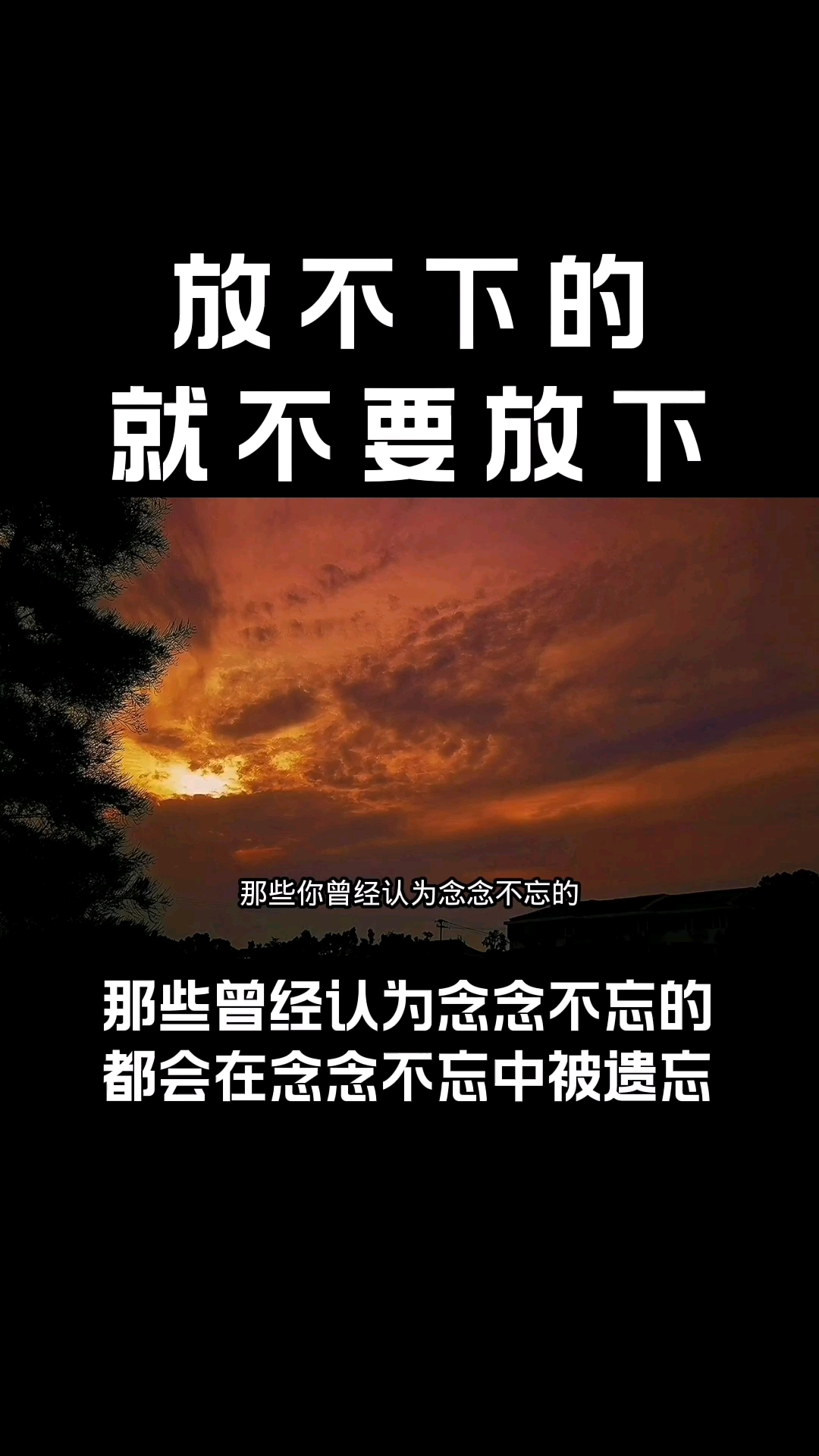 扎心情感语录忘不掉的先记着吧总有一天那些你曾经认为念念不忘的都会