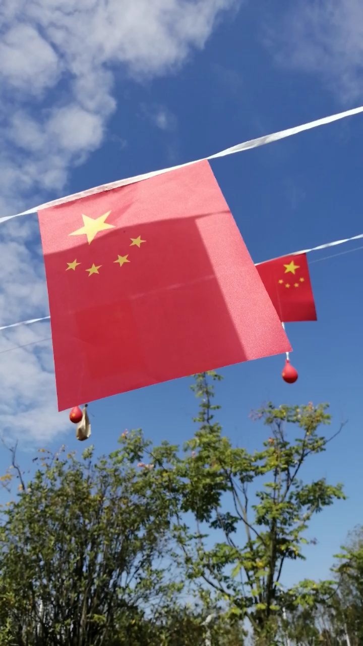 上班生活#五星红旗迎风飘扬