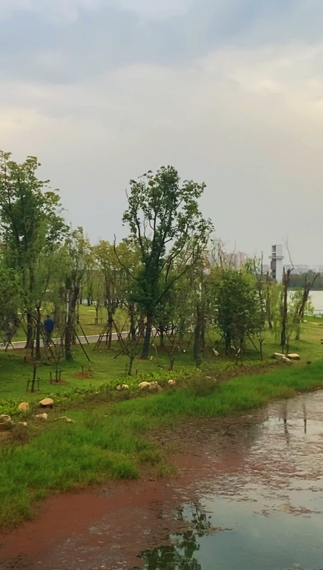 身边的风景江夏中央大公园,风景真的不错